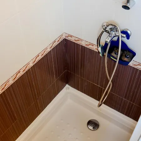 Appartamento Teixeira House *