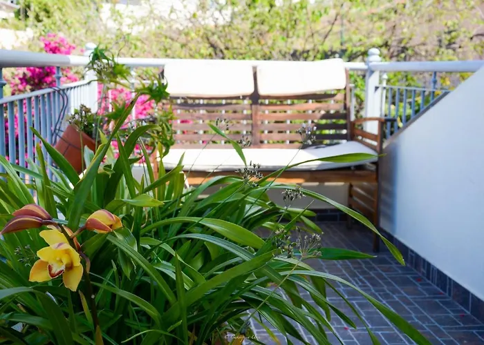 Daire Teixeira House *