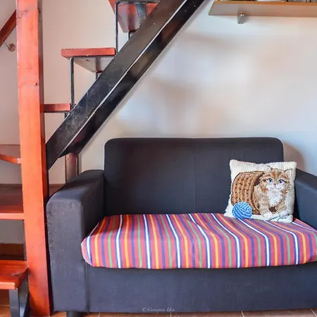 Teixeira House شقة